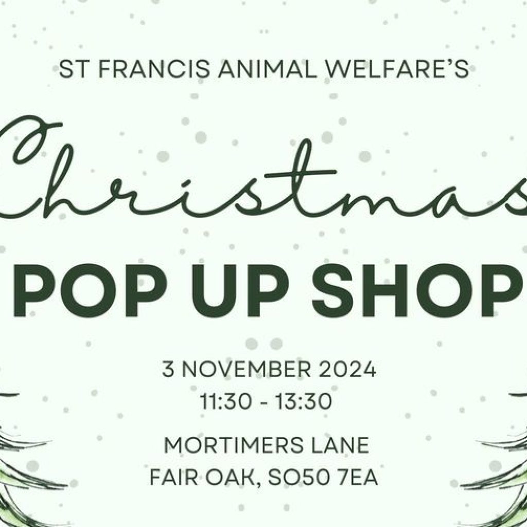 Christmas Pop Up Shop | November 3rd | 11:30-1:30pm